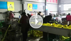 辰力吊裝帶車間新增設(shè)備：吊裝帶帶皮傳輸帶